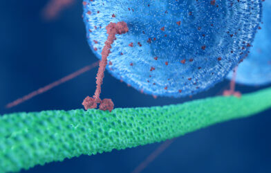 Motor protein