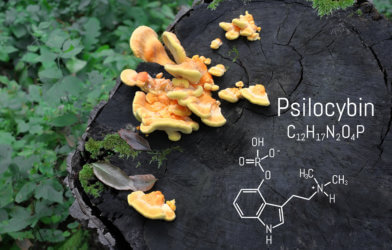 Psilocybin - magic mushrooms