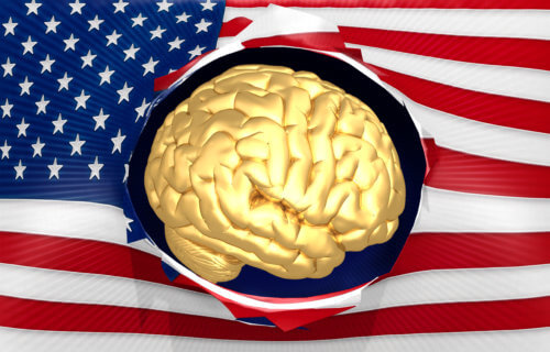 Brain - USA Flag