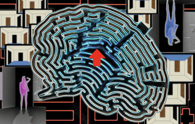 Brain decoding of VR maze scene prediction and confidence