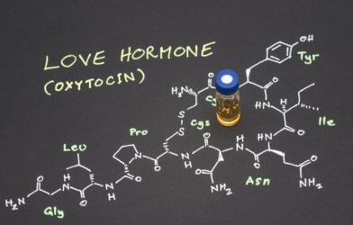 'Love hormone' Oxytocin
