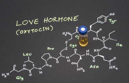 'Love hormone' Oxytocin
