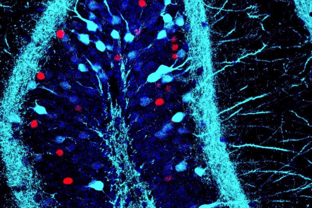 Memory cells